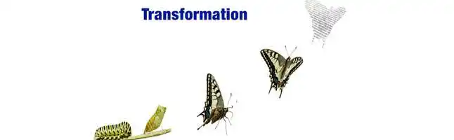 Transformation