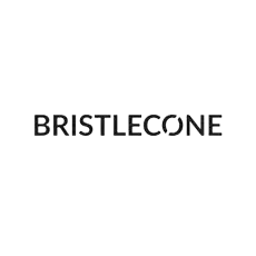 Bristlecone