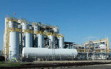 Fortune 100 Chemical Company