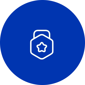 ANA Icon