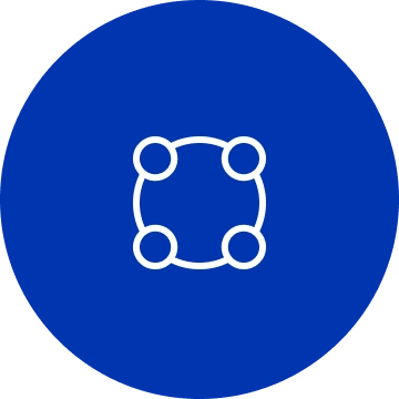 ANA Icon